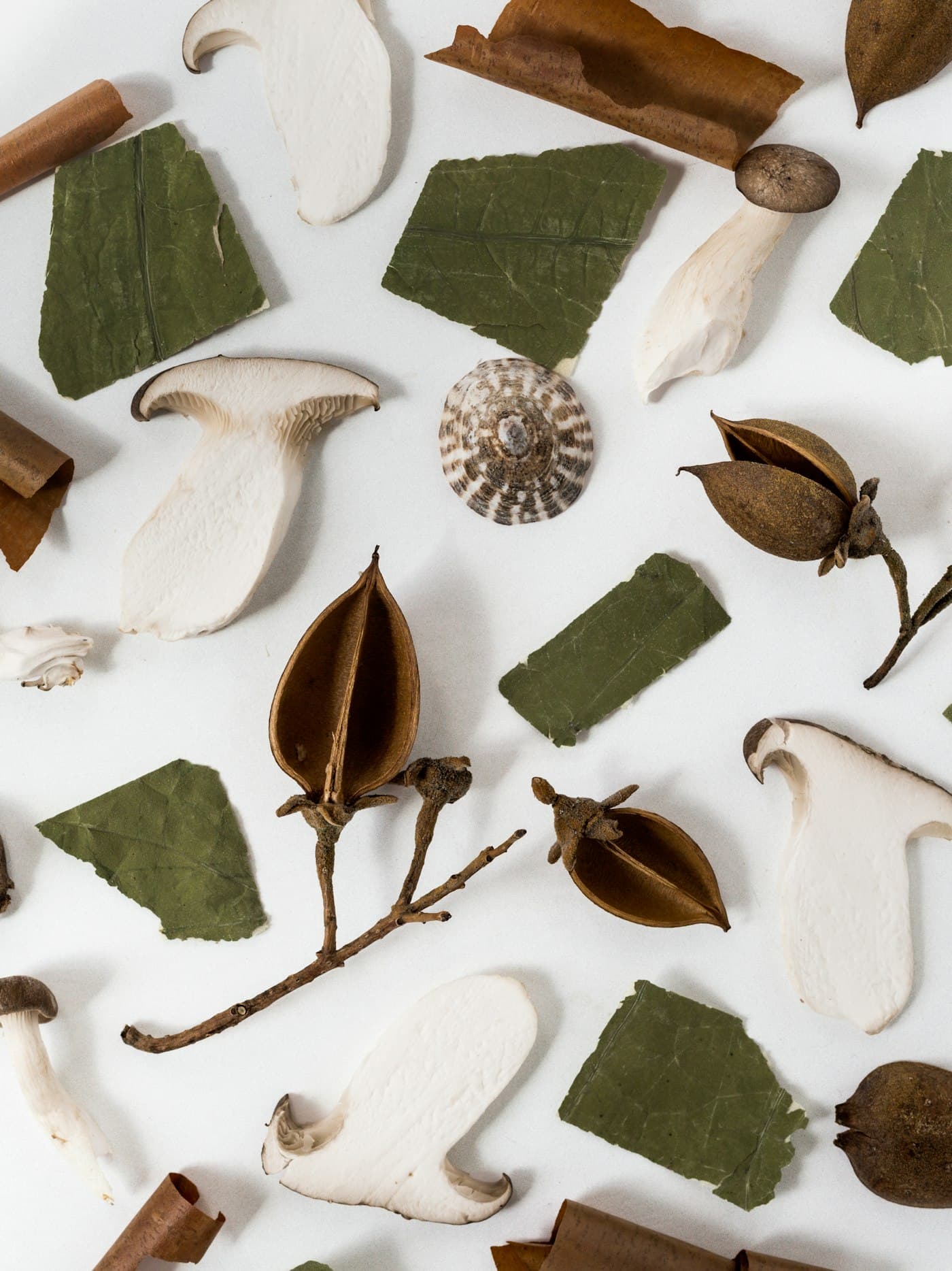 Clean, natural botanical ingredients